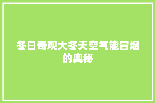冬日奇观大冬天空气能冒烟的奥秘