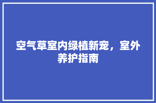 空气草室内绿植新宠，室外养护指南 墙体维修