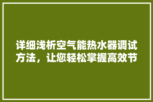 详细浅析空气能热水器调试方法，让您轻松掌握高效节能生活 厨房维修
