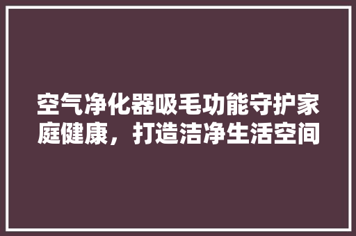 空气净化器吸毛功能守护家庭健康，打造洁净生活空间