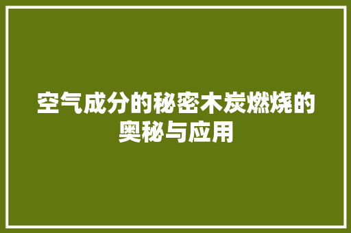 空气成分的秘密木炭燃烧的奥秘与应用
