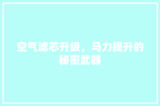 空气滤芯升级，马力提升的秘密武器 汽车维修