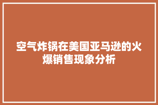 空气炸锅在美国亚马逊的火爆销售现象分析