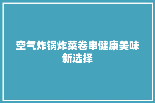 空气炸锅炸菜卷串健康美味新选择 厨房维修