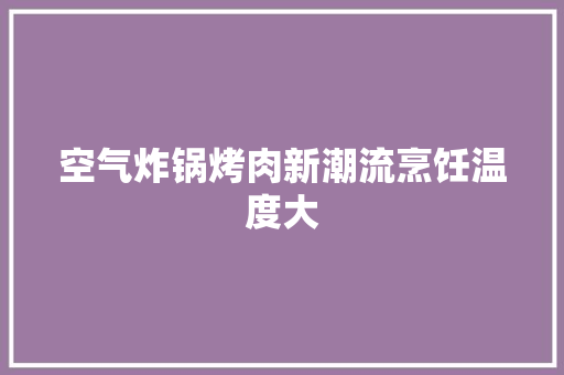 空气炸锅烤肉新潮流烹饪温度大 墙体维修
