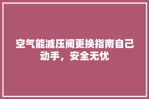 空气能减压阀更换指南自己动手，安全无忧 汽车维修