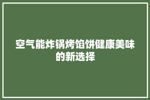 空气能炸锅烤馅饼健康美味的新选择