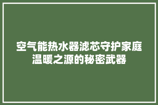 空气能热水器滤芯守护家庭温暖之源的秘密武器 墙体维修