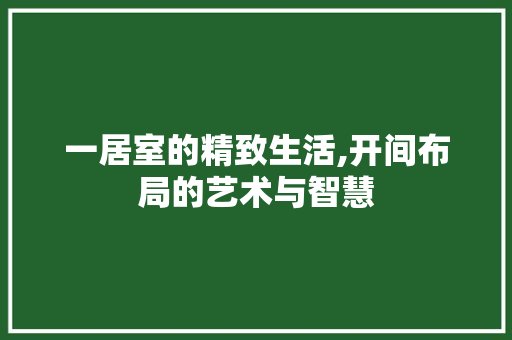 一居室的精致生活,开间布局的艺术与智慧 一居室的精致生活,开间布局的艺术与智慧 综合便民