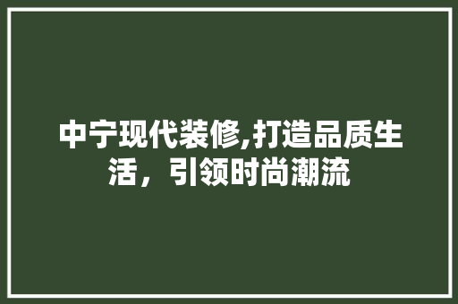 中宁现代装修,打造品质生活，引领时尚潮流 中宁现代装修,打造品质生活，引领时尚潮流 厨房维修