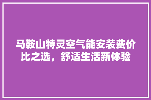 马鞍山特灵空气能安装费价比之选，舒适生活新体验