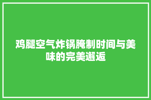 鸡腿空气炸锅腌制时间与美味的完美邂逅