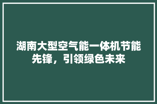 湖南大型空气能一体机节能先锋，引领绿色未来