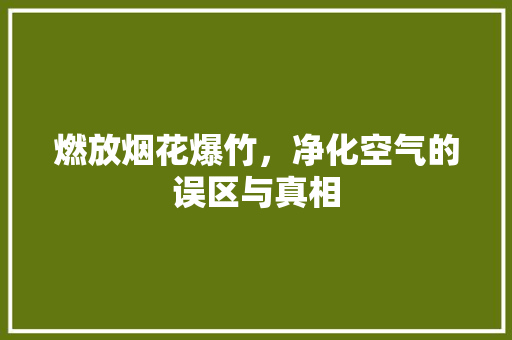 燃放烟花爆竹，净化空气的误区与真相 汽车维修
