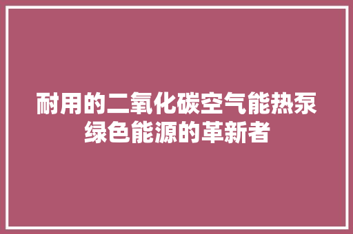 耐用的二氧化碳空气能热泵绿色能源的革新者