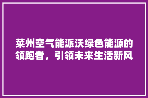 莱州空气能派沃绿色能源的领跑者，引领未来生活新风尚 厨房维修