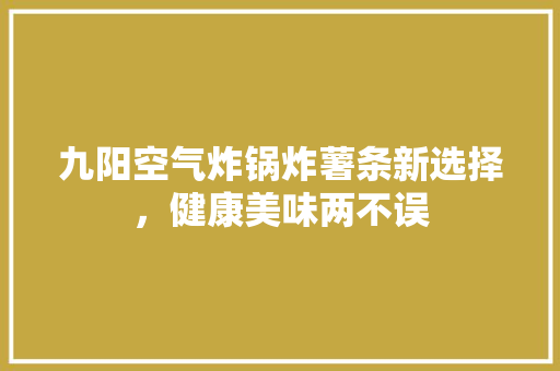 九阳空气炸锅炸薯条新选择，健康美味两不误