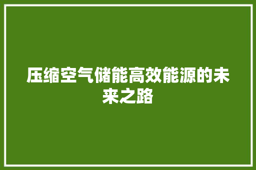 压缩空气储能高效能源的未来之路