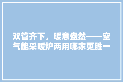双管齐下，暖意盎然——空气能采暖炉两用哪家更胜一筹