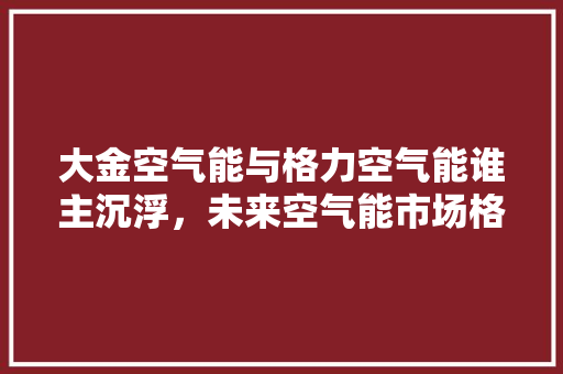 大金空气能与格力空气能谁主沉浮，未来空气能市场格局展望 厨房维修
