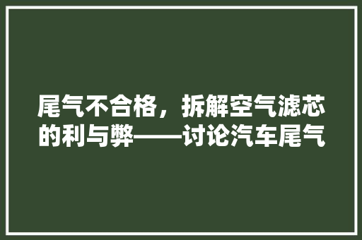 尾气不合格，拆解空气滤芯的利与弊——讨论汽车尾气治理与空气滤芯保养