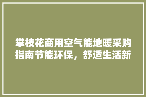 攀枝花商用空气能地暖采购指南节能环保，舒适生活新选择 家电维修