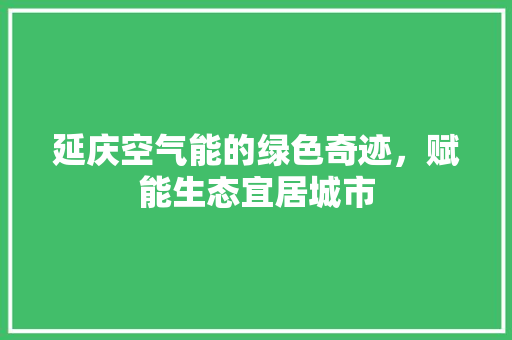 延庆空气能的绿色奇迹，赋能生态宜居城市 墙体维修