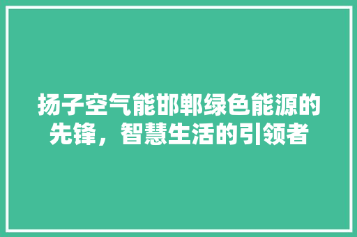 扬子空气能邯郸绿色能源的先锋，智慧生活的引领者 厨房维修