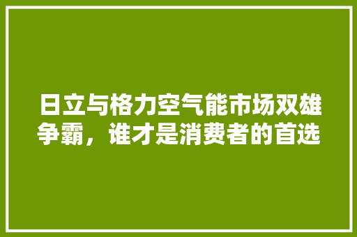 日立与格力空气能市场双雄争霸，谁才是消费者的首选 厨房维修