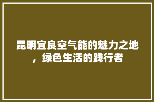 昆明宜良空气能的魅力之地，绿色生活的践行者 厨房维修
