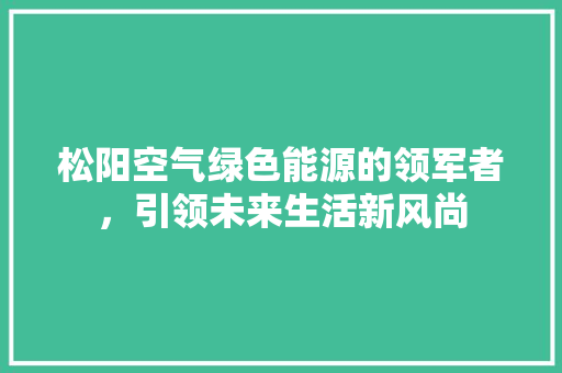 松阳空气绿色能源的领军者，引领未来生活新风尚 综合便民