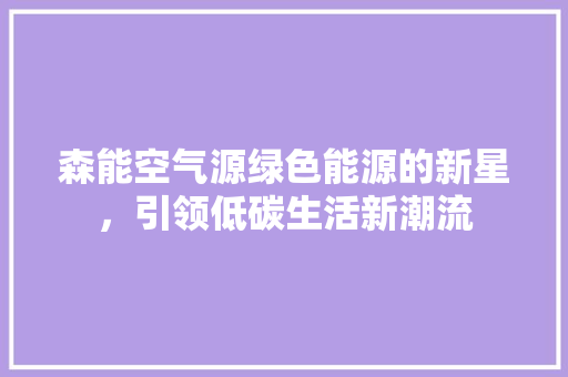 森能空气源绿色能源的新星，引领低碳生活新潮流 厨房维修