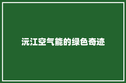 沅江空气能的绿色奇迹 厨房维修