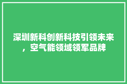 深圳新科创新科技引领未来，空气能领域领军品牌 厨房维修