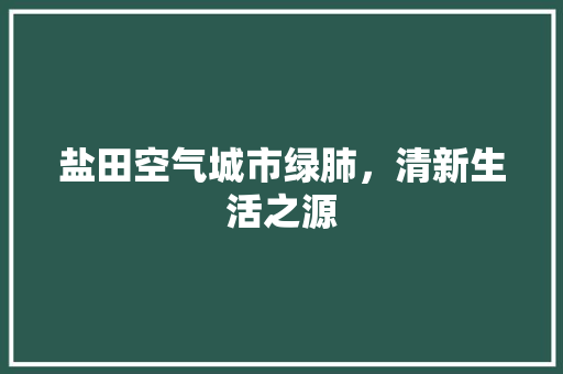 盐田空气城市绿肺，清新生活之源 家电维修