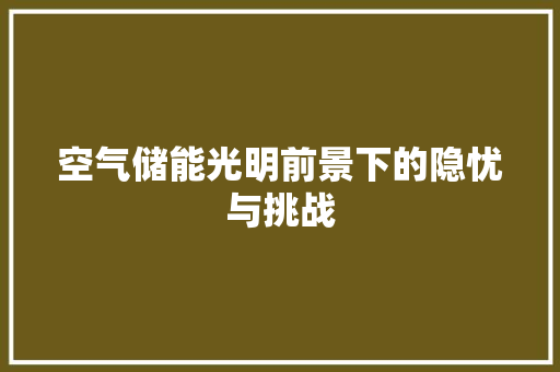 空气储能光明前景下的隐忧与挑战