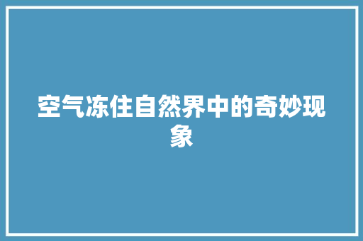 空气冻住自然界中的奇妙现象