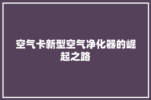 空气卡新型空气净化器的崛起之路