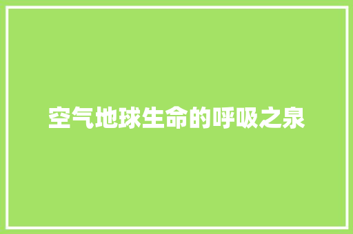 空气地球生命的呼吸之泉