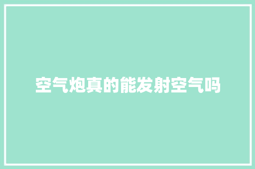 空气炮真的能发射空气吗