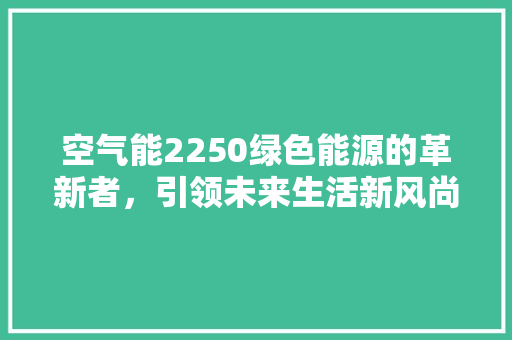 空气能2250绿色能源的革新者，引领未来生活新风尚 厨房维修