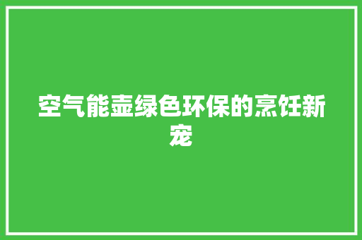 空气能壶绿色环保的烹饪新宠