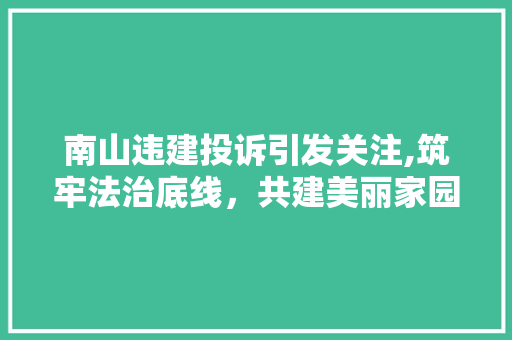 南山违建投诉引发关注,筑牢法治底线，共建美丽家园 南山违建投诉引发关注,筑牢法治底线，共建美丽家园 综合便民