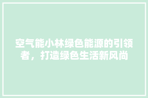 空气能小林绿色能源的引领者，打造绿色生活新风尚