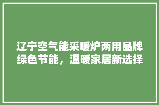 辽宁空气能采暖炉两用品牌绿色节能，温暖家居新选择
