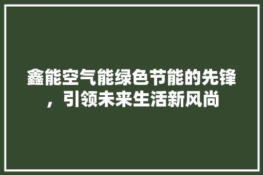 鑫能空气能绿色节能的先锋，引领未来生活新风尚