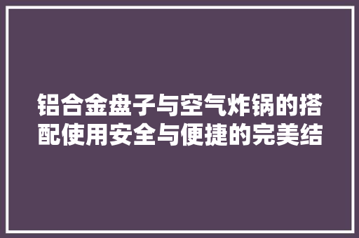 铝合金盘子与空气炸锅的搭配使用安全与便捷的完美结合