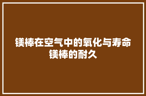 镁棒在空气中的氧化与寿命镁棒的耐久