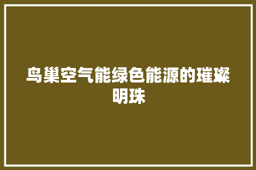 鸟巢空气能绿色能源的璀璨明珠 汽车维修