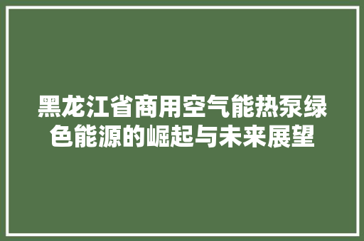 黑龙江省商用空气能热泵绿色能源的崛起与未来展望 综合便民